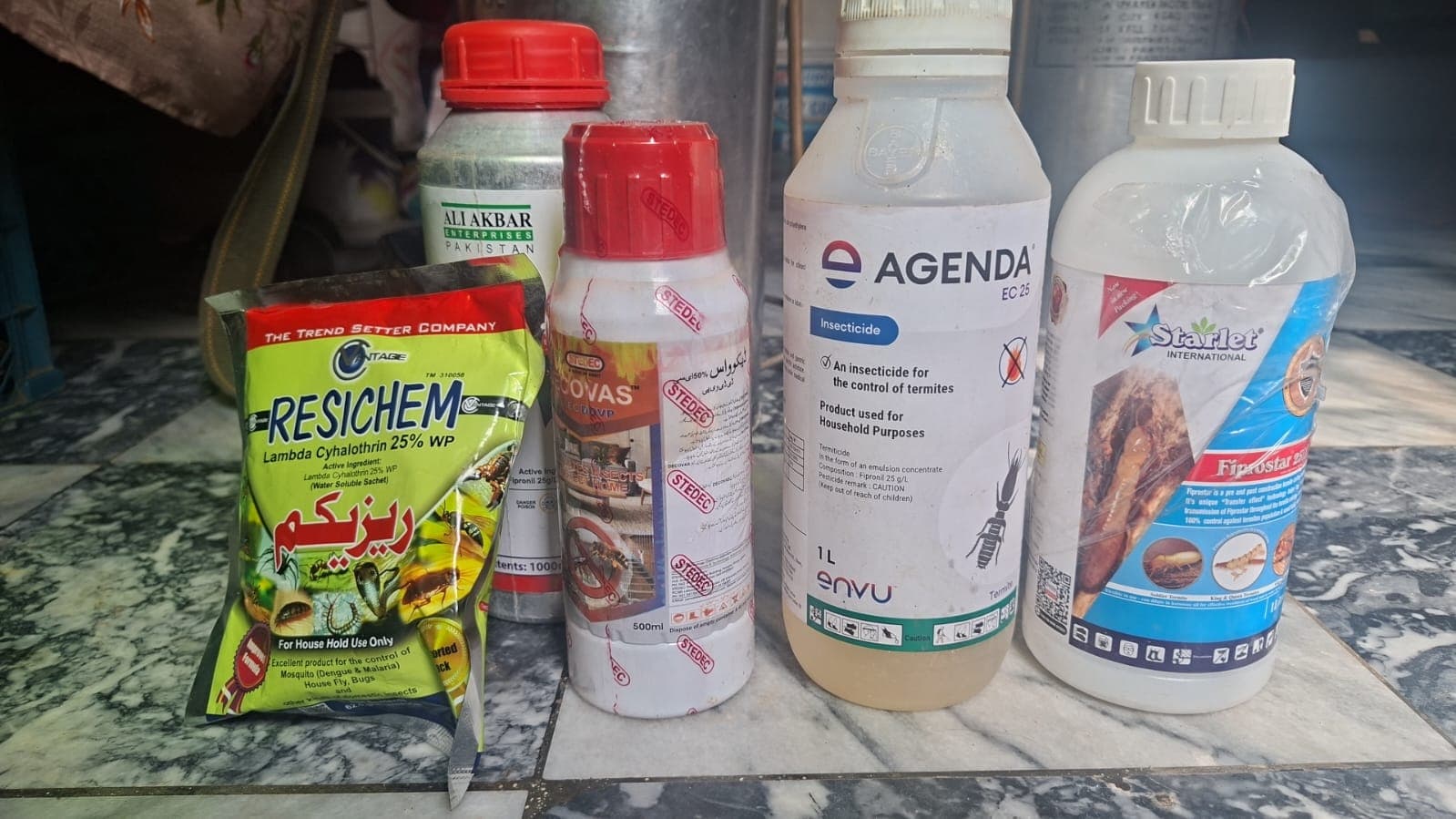 Rodent & Cockroach Control service in Islamabad